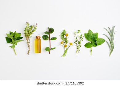 Bottle of essential oil with herbs arranged on white background.Alternative medicine concept.