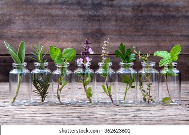 Bottle of essential oil with herbs holy basil flower, basil flower,rosemary,oregano, sage,parsley ,thyme and mint set up on old wooden background . - Shutterstock ID 362623601
