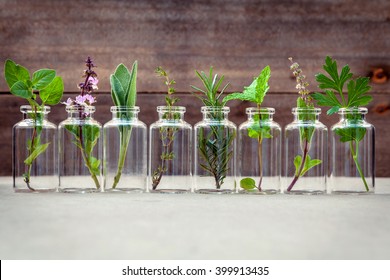Bottle of essential oil with herbs holy basil flower, basil flower,rosemary,oregano, sage,parsley ,thyme and mint set up on old wooden background .