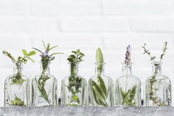 Bottle Of Essential Oil With Herbs Lavender Flower, Basil Flower,rosemary,oregano, Sage, ,thyme And Peppermint Set Up On White Background .