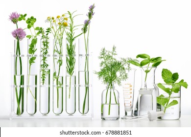 Bottle of essential oil with herbs on white background