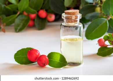 A Bottle Of Essential Oil With Wintergreen Leaves And Berries