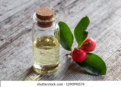 A Bottle Of Essential Oil With Wintergreen Leaves And Berries