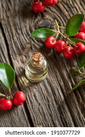 A Bottle Of Essential Oil With Wintergreen Leaves And Berries