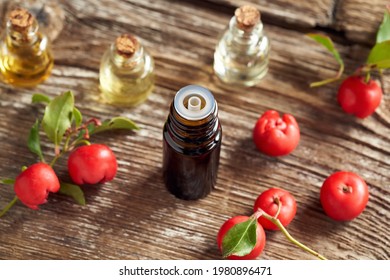 A Bottle Of Essential Oil With Wintergreen Leaves And Berries