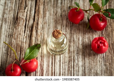 A Bottle Of Essential Oil With Wintergreen Leaves And Berries