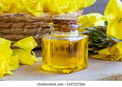 A bottle of evening primrose oil with fresh blooming plant 