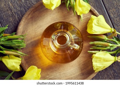 A Bottle Of Evening Primrose Oil With Fresh Oenothera Biennis Flowers, Top View