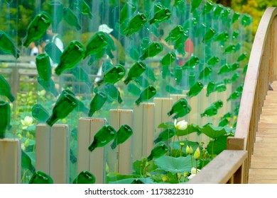 Bottle Fence Wall In Namisum (Nami Island) , Chuncheon, South Korea