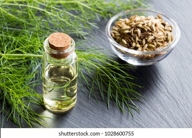 A bottle of fennel essential oil with fresh green fennel twigs and seeds