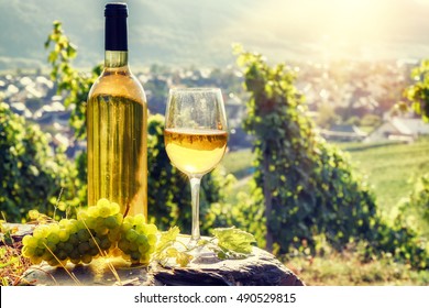Bottle and full glass of white wine over vineyard background. Wine tasting and gastronomy concept