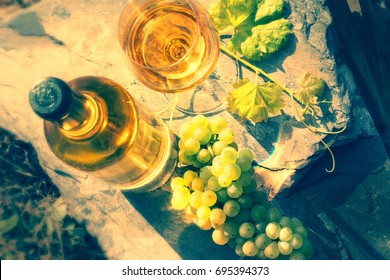 Bottle and full glass of white wine over vineyard background. Wine tasting and gastronomy concept