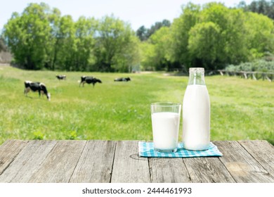 A bottle and a glass of fresh milk on an old wooden table and dairy cows cattle grazing in a green meadow in the background. Milk price drop. Copy space. - Powered by Shutterstock