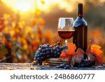 Bottle and glass of red wine are standing on a table with grapes in a vineyard during sunset. The warm light of the setting sun illuminates the scene, creating a cozy and inviting atmosphere