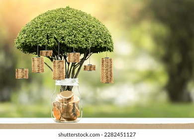 Bottle with gold coin and money gold coin of tree with growing put on the wood on the morning sunlight in public park, Saving money and loan for business investment concept.