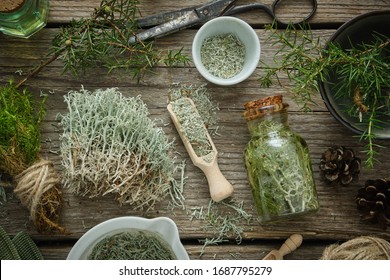 Bottle of healthy tincture of moss, mortars of dried moss, Reindeer lichen,  healthy common haircap moss and juniper twigs on wooden board. Herbal medicine. 