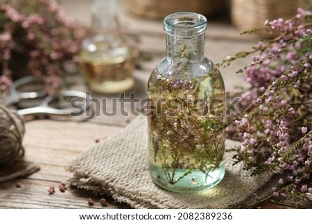 Bottle of heather essential oil or infusion, bunch of Calluna vulgaris flowers on background. Alternative herbal medicine. 