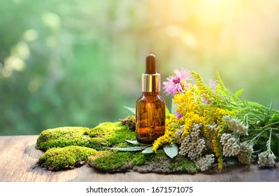 Bottle of herbal essential oil with flowers, herbs on table, abstract natural background. eco friendly care organic product. beauty treatment, Spa concept. Cosmetic products advertising backdrop