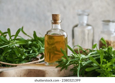 A bottle of herbal tincture with fresh cleavers or catchweed leaves
