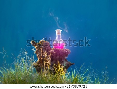 bottle of magic potions in  magical forest