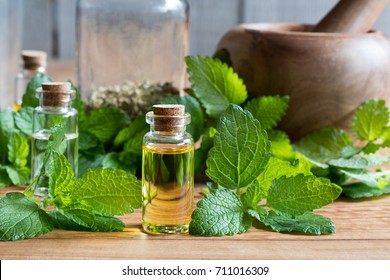 A Bottle Of Melissa (lemon Balm) Essential Oil With Fresh Melissa Leaves In The Background