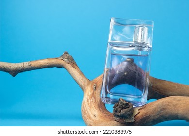 A Bottle Of Men's Cologne On A Branch On A Blue Background. Men's Perfume