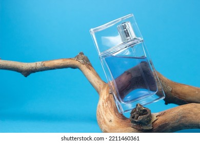 A Bottle Of Men's Cologne On A Branch On A Blue Background. Men's Perfume