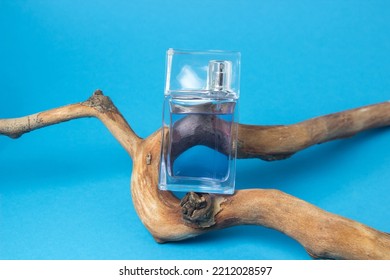 A Bottle Of Men's Cologne On A Branch On A Blue Background. Men's Perfume