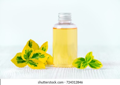 a bottle of natural shower gel or shampoo with plants, selective focus