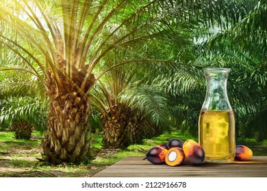 Bottle of palm oil with palm plantation background.