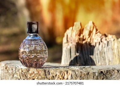 Bottle Of Perfume In The Sun. Perfume With A Woody Scent.