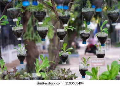 Bottle Pot Hanging Form Tree Small Stock Photo 1100688494 | Shutterstock