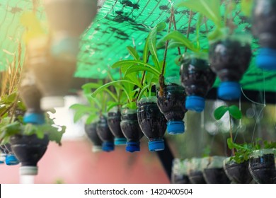 900 Plastic Bottle Plant Wall Images, Stock Photos & Vectors | Shutterstock