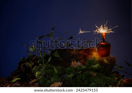 bottle with potion in night forest