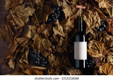 Bottle Of Red Wine With Corkscrew. On A Table Dried Vine Leaves And Blue Grapes. On A Bottle Empty Old Paper Label, Free Space For Your Text.