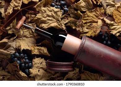 Bottle Of Red Wine With Corkscrew. On A Table Dried Vine Leaves And Blue Grapes. On A Bottle Empty Old Paper Label, Free Space For Your Text.