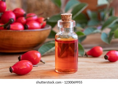 A Bottle Of Rose Hip Seed Oil With Fresh Plant