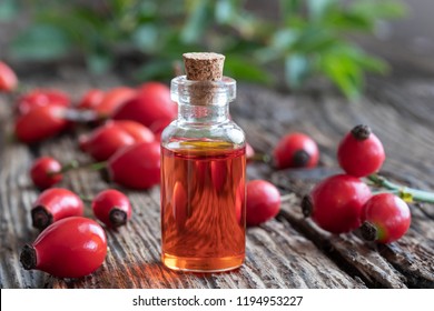 A bottle of rosehip seed oil with fresh berries on a rustic background
