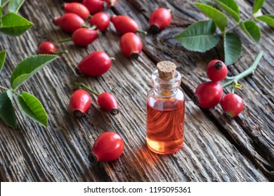 A Bottle Of Rosehip Seed Oil With Fresh Berries