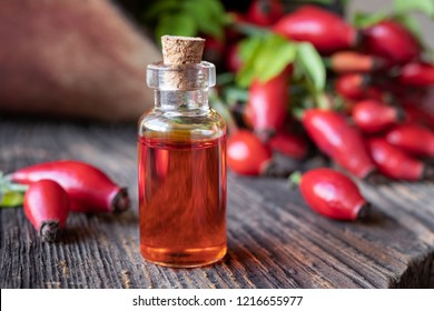 A Bottle Of Rosehip Seed Oil With Fresh Plant