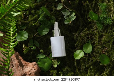 Bottle of serum on forest background with stone, fern, centella and green leaves. Mockup, advertising photo for cosmetic of natural extract. Space for design