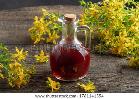 A bottle of St. John's wort oil with fresh Hypericum flowers