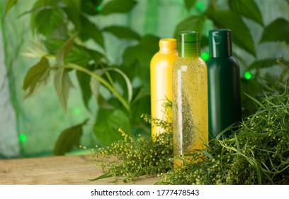 Bottle With Tarragon Oil. Fresh Green Tarragon And Essential Oil