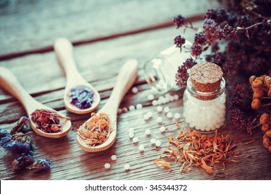 Bottle of white homeopathy globules, wooden spoons and dry healthy herbs. Selective focus. Retro styled.