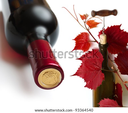 bottle of wine isolated on white background
