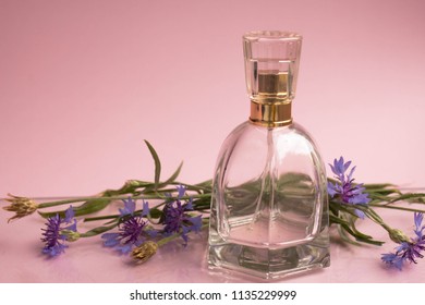 bottle of woman perfume on pink background with blue flowers. gift. cornflowers