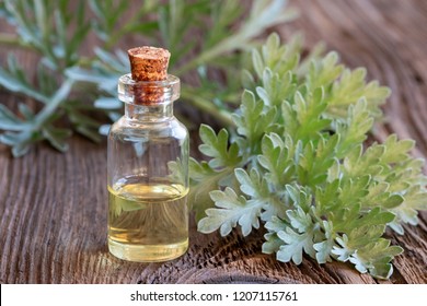 A bottle of wormwood essential oil with fresh Artemisia Absinthium twigs on a wooden background