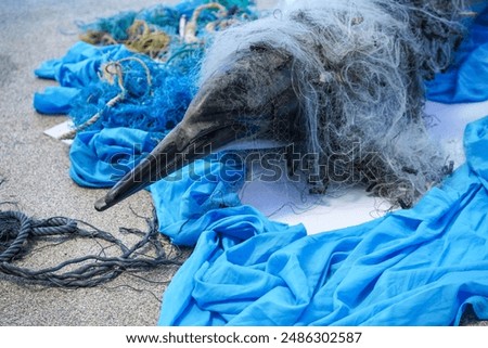 Bottlenose dolphin model entangled in a discarded fishing net on sandy beach.