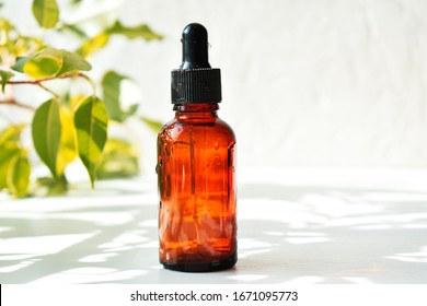 Bottles Of Aromatic Oil With Petals On The Background. Basics Of Aromatherapy.  Botanical Skin Care At Home Spa Treatment. Top View. 