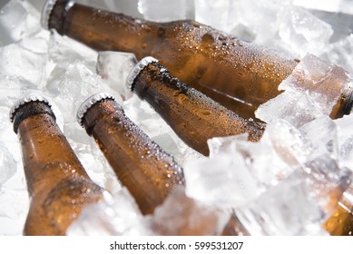 Bottles Of Beer Chilled In Ice